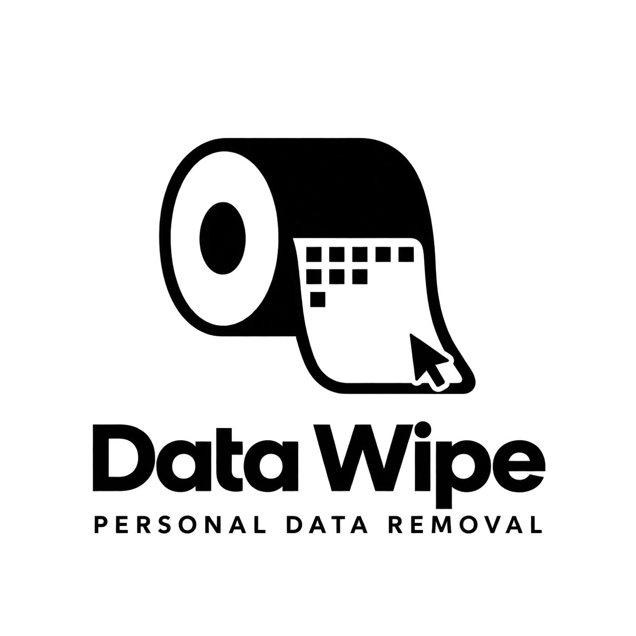 DataWipe logo